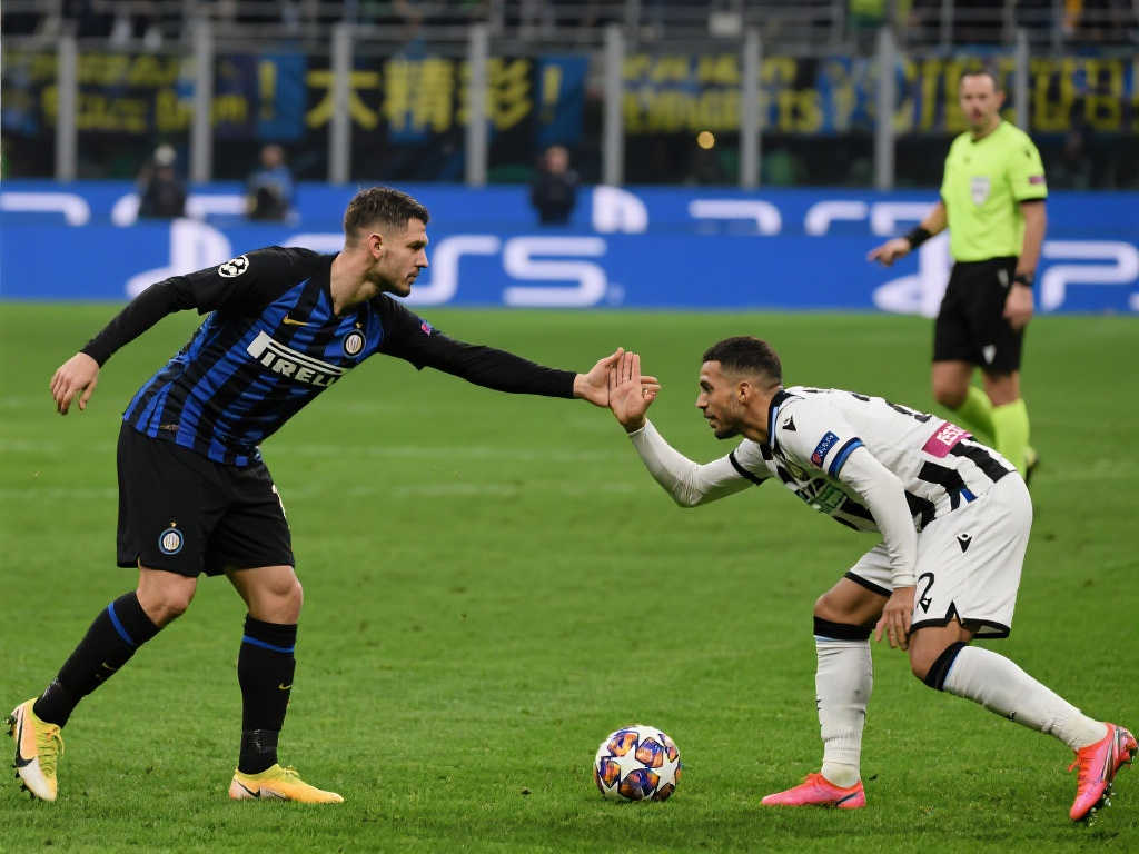 仅仅局限于 仅仅局限于