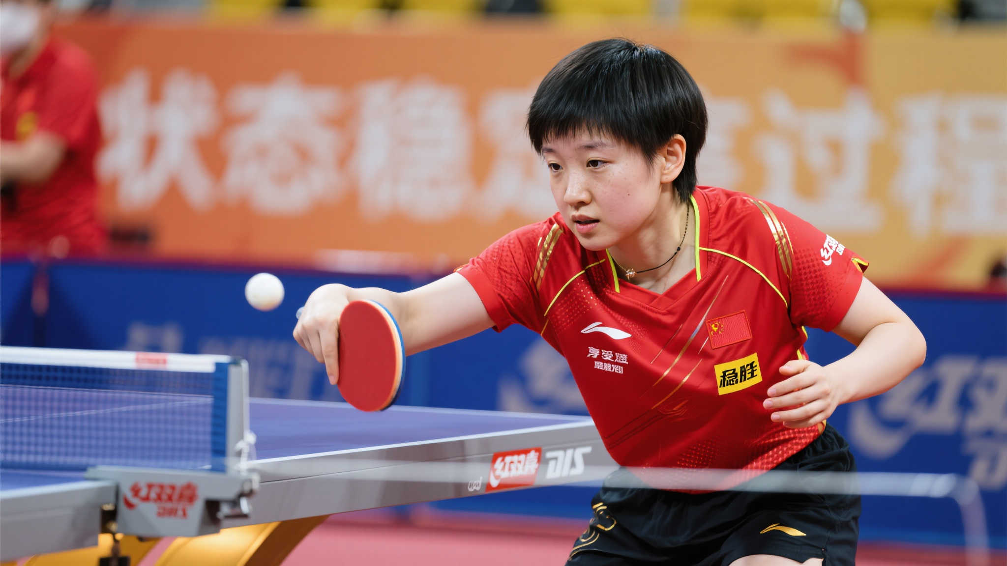 青岛海牛选 青岛海牛选